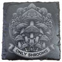 Only Shrooms Coaster