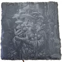 The MycoSage Coaster